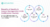 Identity and Access Management (IAM) Certification