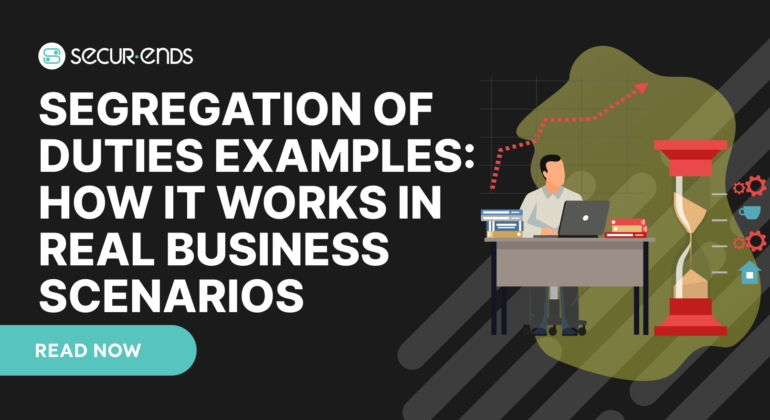 Segregation of Duties Examples